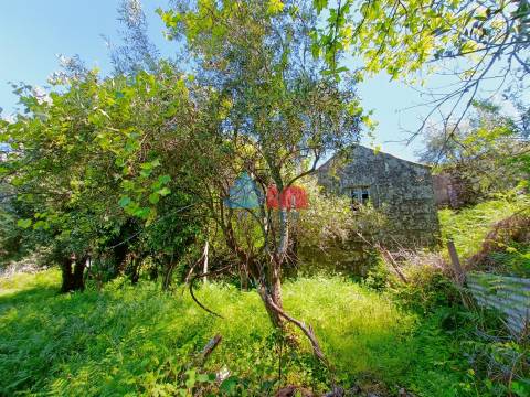 Moradia para Restaurar T4 Venda em São João do Monte e Mosteirinho,Tondela