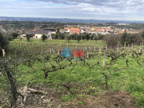 Terreno Para Construção  Venda em Mangualde, Mesquitela e Cunha Alta,Mangualde