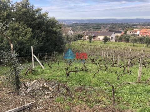 Terreno Para Construção  Venda em Mangualde, Mesquitela e Cunha Alta,Mangualde