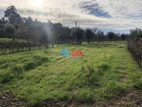 Terreno Para Construção  Venda em Mangualde, Mesquitela e Cunha Alta,Mangualde