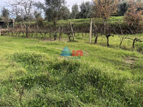 Terreno Para Construção  Venda em Mangualde, Mesquitela e Cunha Alta,Mangualde