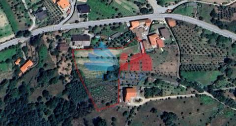 Terreno Para Construção  Venda em Mangualde, Mesquitela e Cunha Alta,Mangualde