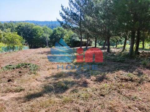 Terreno Misto  Venda em Couto de Baixo e Couto de Cima,Viseu