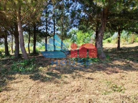 Terreno Misto  Venda em Couto de Baixo e Couto de Cima,Viseu