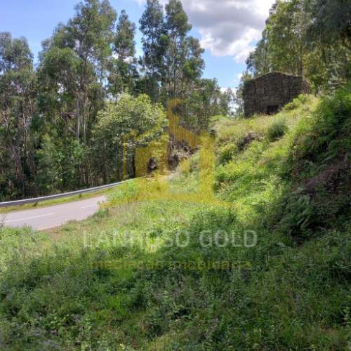 Quinta  Venda em Valdosende,Terras de Bouro