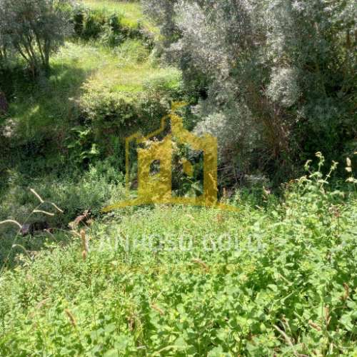 Quinta  Venda em Valdosende,Terras de Bouro