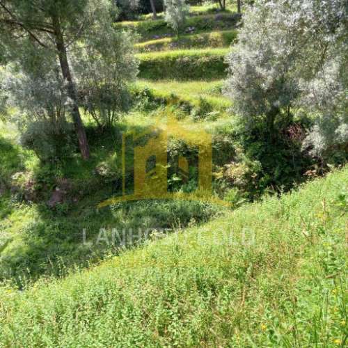 Quinta  Venda em Valdosende,Terras de Bouro