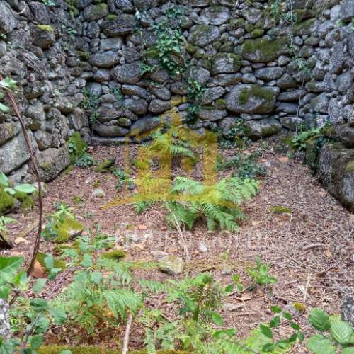 Quinta  Venda em Valdosende,Terras de Bouro