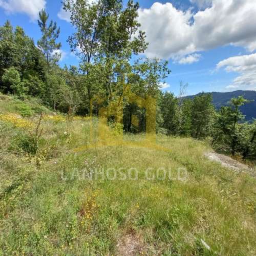 Quinta  Venda em Valdosende,Terras de Bouro