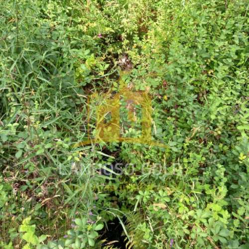 Quinta  Venda em Valdosende,Terras de Bouro