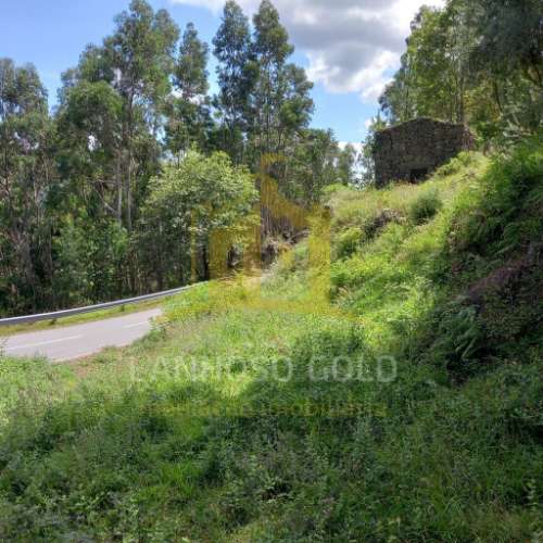 Quinta  Venda em Valdosende,Terras de Bouro