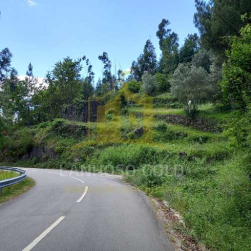Quinta  Venda em Valdosende,Terras de Bouro