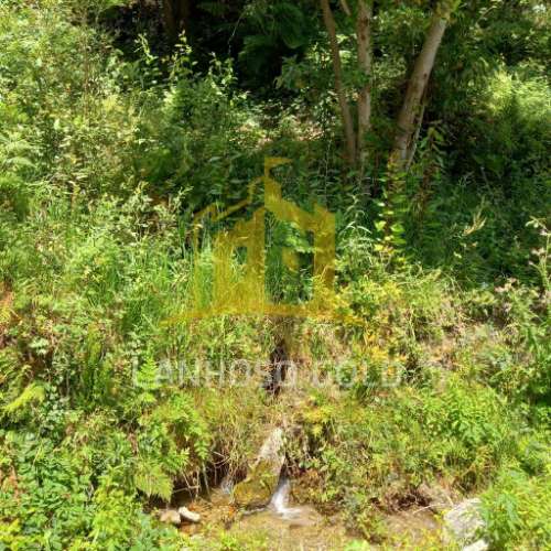 Quinta  Venda em Valdosende,Terras de Bouro