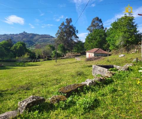 Quintinha  Venda em Serzedelo,Póvoa de Lanhoso