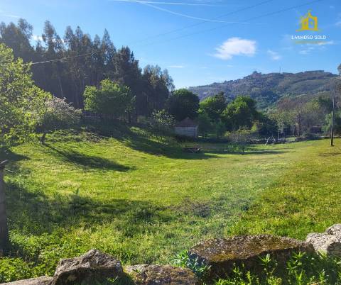Quintinha  Venda em Serzedelo,Póvoa de Lanhoso