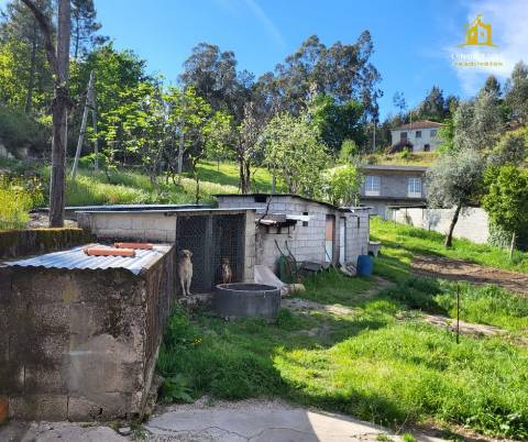 Quintinha  Venda em Serzedelo,Póvoa de Lanhoso
