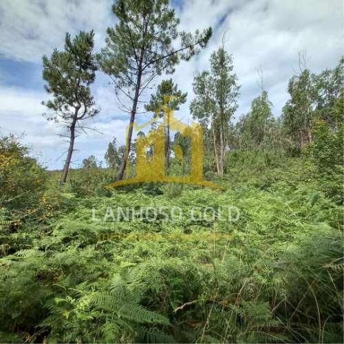 Terreno Rústico  Venda em Mosteiro,Vieira do Minho
