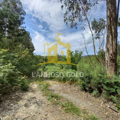 Terreno Rústico  Venda em Mosteiro,Vieira do Minho