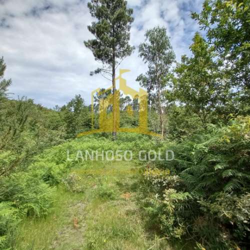 Terreno Rústico  Venda em Mosteiro,Vieira do Minho