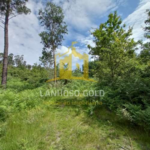 Terreno Rústico  Venda em Mosteiro,Vieira do Minho