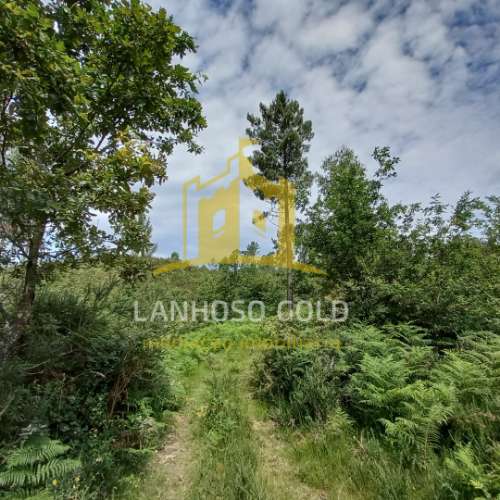 Terreno Rústico  Venda em Mosteiro,Vieira do Minho