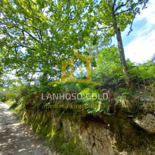 Terreno Rústico  Venda em Mosteiro,Vieira do Minho