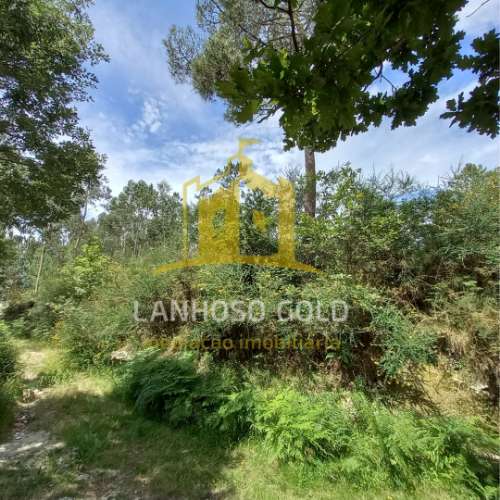 Terreno Rústico  Venda em Mosteiro,Vieira do Minho