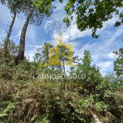Terreno Rústico  Venda em Mosteiro,Vieira do Minho