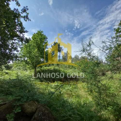 Terreno Rústico  Venda em Mosteiro,Vieira do Minho