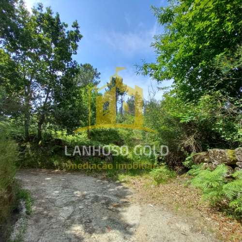 Terreno Rústico  Venda em Mosteiro,Vieira do Minho