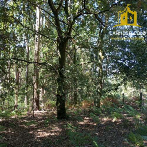 Terreno Rústico  Venda em Serzedelo,Póvoa de Lanhoso