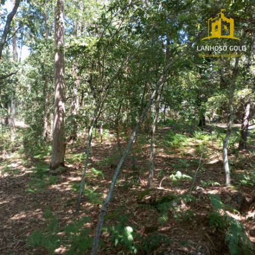 Terreno Rústico  Venda em Serzedelo,Póvoa de Lanhoso