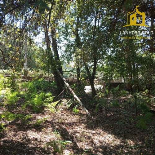 Terreno Rústico  Venda em Serzedelo,Póvoa de Lanhoso