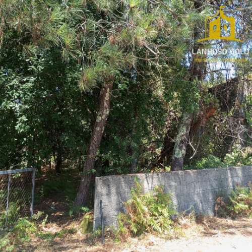 Terreno Rústico  Venda em Serzedelo,Póvoa de Lanhoso