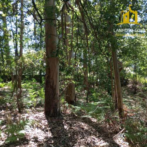 Terreno Rústico  Venda em Serzedelo,Póvoa de Lanhoso