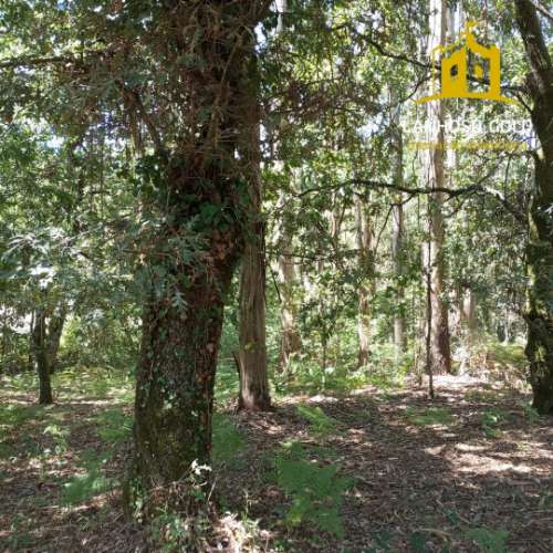 Terreno Rústico  Venda em Serzedelo,Póvoa de Lanhoso