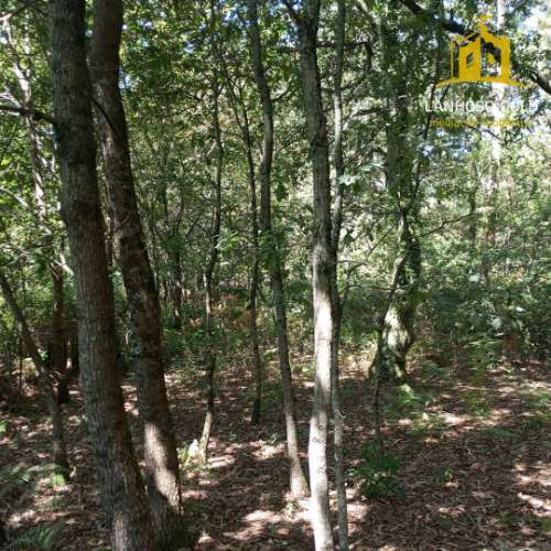 Terreno Rústico  Venda em Serzedelo,Póvoa de Lanhoso