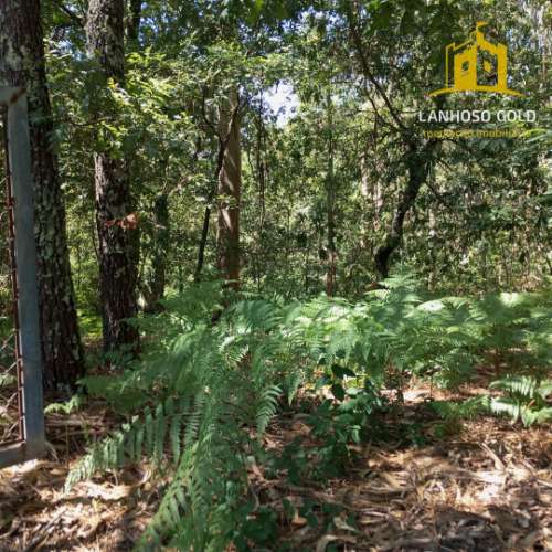 Terreno Rústico  Venda em Serzedelo,Póvoa de Lanhoso