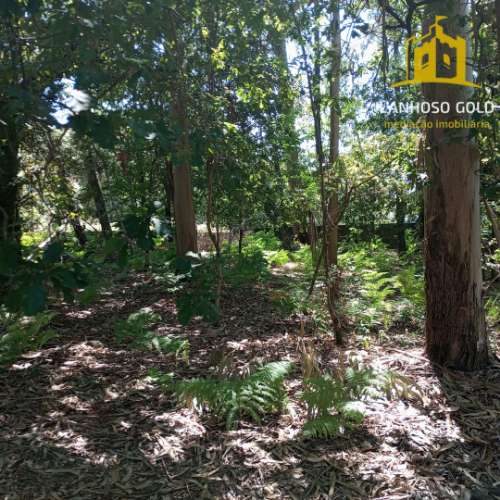 Terreno Rústico  Venda em Serzedelo,Póvoa de Lanhoso