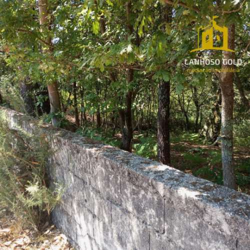 Terreno Rústico  Venda em Serzedelo,Póvoa de Lanhoso