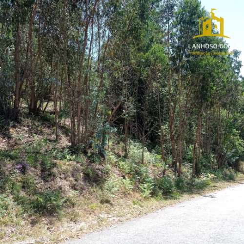 Terreno Rústico  Venda em Serzedelo,Póvoa de Lanhoso