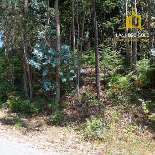 Terreno Rústico  Venda em Serzedelo,Póvoa de Lanhoso