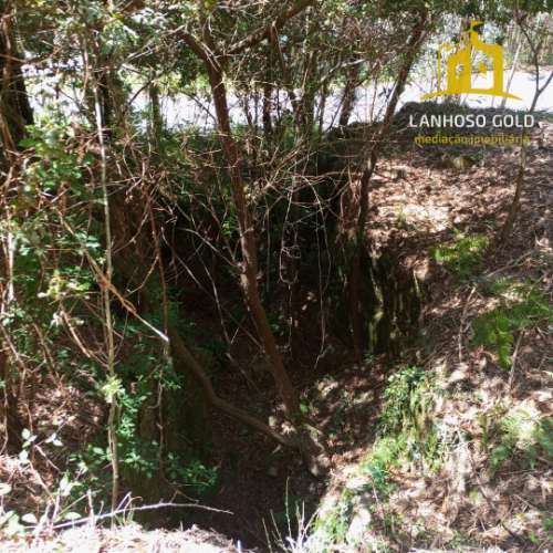 Terreno Rústico  Venda em Serzedelo,Póvoa de Lanhoso