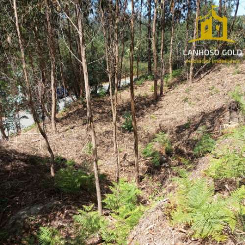 Terreno Rústico  Venda em Serzedelo,Póvoa de Lanhoso