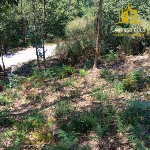 Terreno Rústico  Venda em Serzedelo,Póvoa de Lanhoso