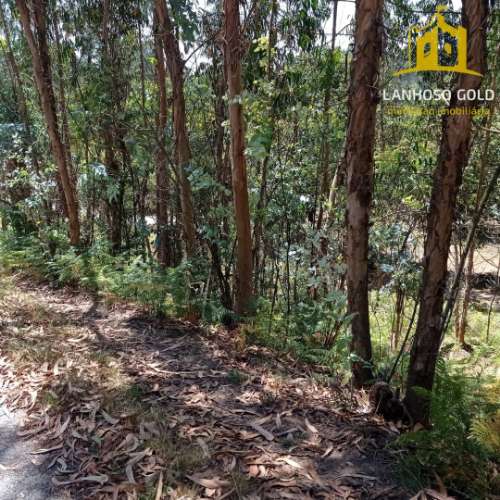 Terreno Rústico  Venda em Serzedelo,Póvoa de Lanhoso