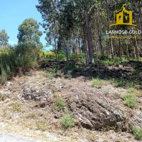Terreno Rústico  Venda em Serzedelo,Póvoa de Lanhoso