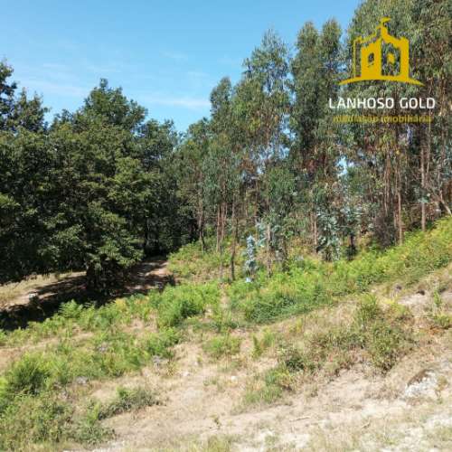 Terreno Rústico  Venda em Serzedelo,Póvoa de Lanhoso