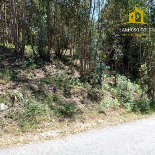 Terreno Rústico  Venda em Serzedelo,Póvoa de Lanhoso