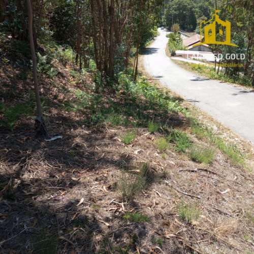 Terreno Rústico  Venda em Serzedelo,Póvoa de Lanhoso